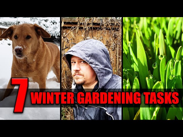 Winter Garden Dormancy - 7 Things To Help Your Garden This Fall