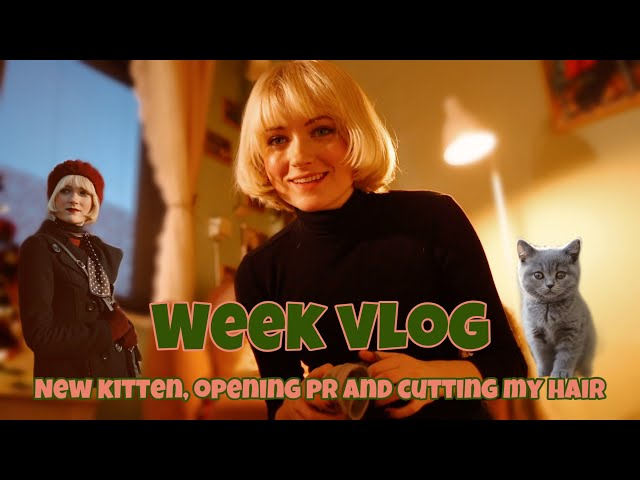 Week vlog: New kitten, opening pr and cutting my hair🐈‍⬛💋
