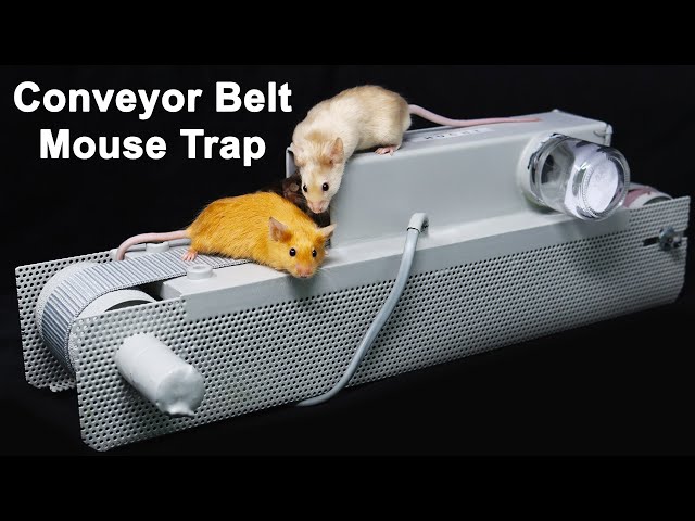 Automatic Conveyor Belt Mouse Trap - Mousetrap Monday