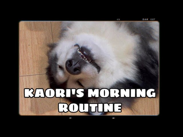 KAORI'S MORNING ROUTINE (KAORI NGERTI CARA BARTER)