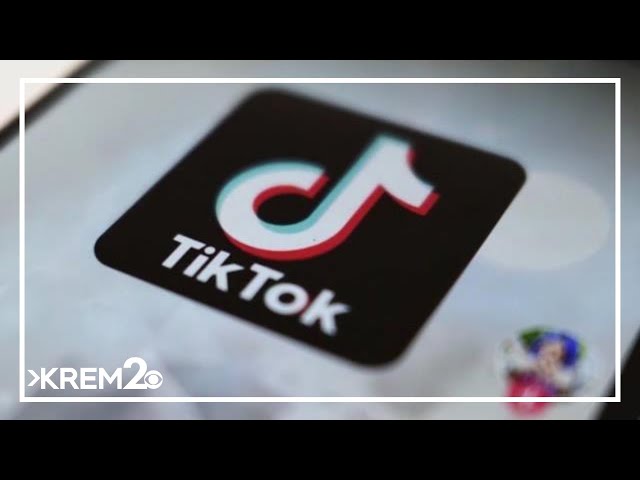 TikTok and Chinese parent company sues US over law that could ban it