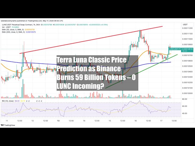Terra Luna Classic Price Prediction as Binance Burns 59 Billion Tokens