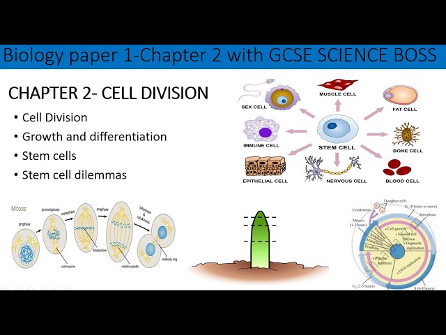 Chapter 2- B1- AQA Cell division Full chapter revision for GCSE in 20 mins Grade 4- 9