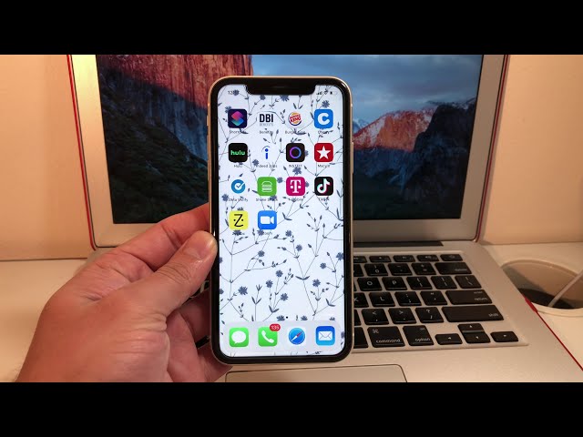 How to Screenshot on iPhone 11 Pro Max