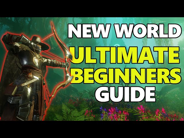 NEW WORLD MMO - ULTIMATE Beginners Guide - Everything You Need To Know