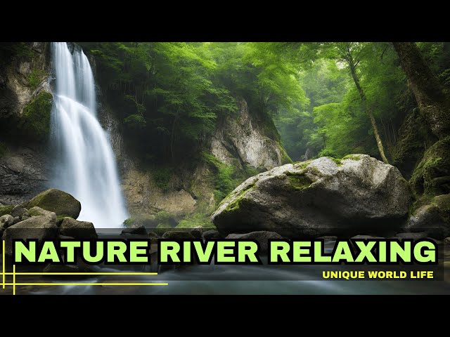 River Sounds For Sleeping 🌿 Nature River Peace Haven, Gentle ASMR River Cradles You to Tranquil