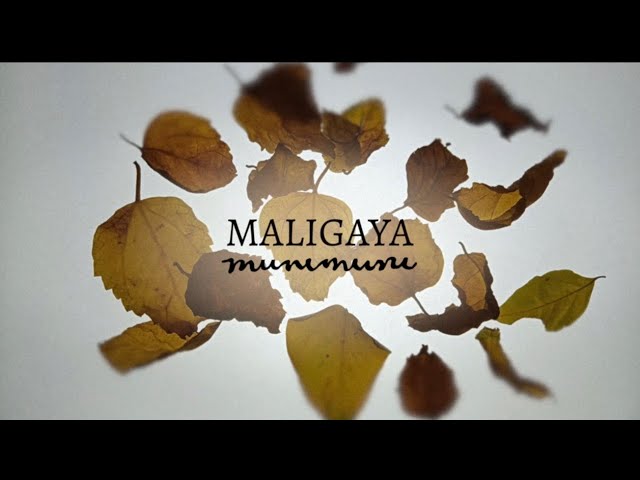 Maligaya - Munimuni x Anino Shadowplay Collective (Official Lyric Video)