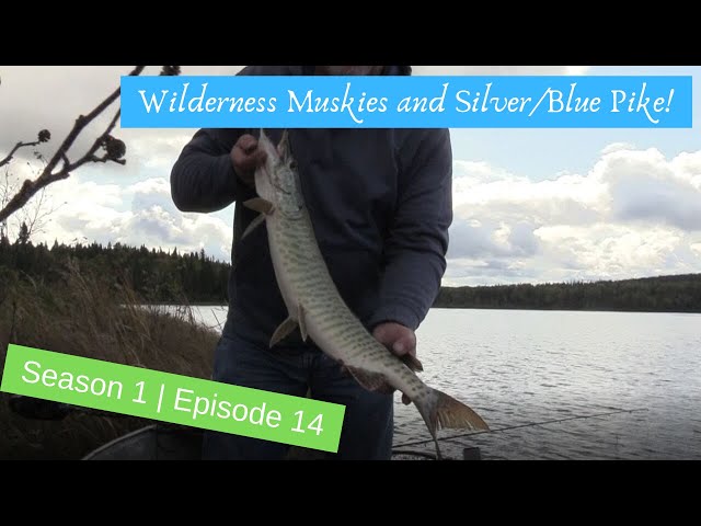 S1 | E13 - Muskies and Silver Blue Pike