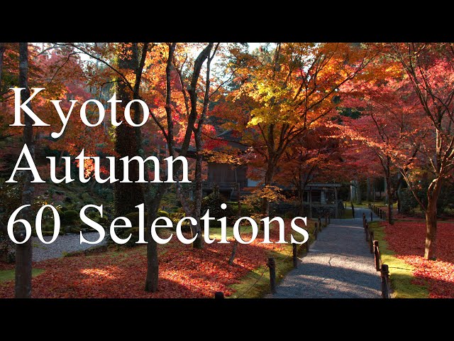 京都の紅葉60選 : The 60 Best Autumn Leaves Spots In Kyoto.