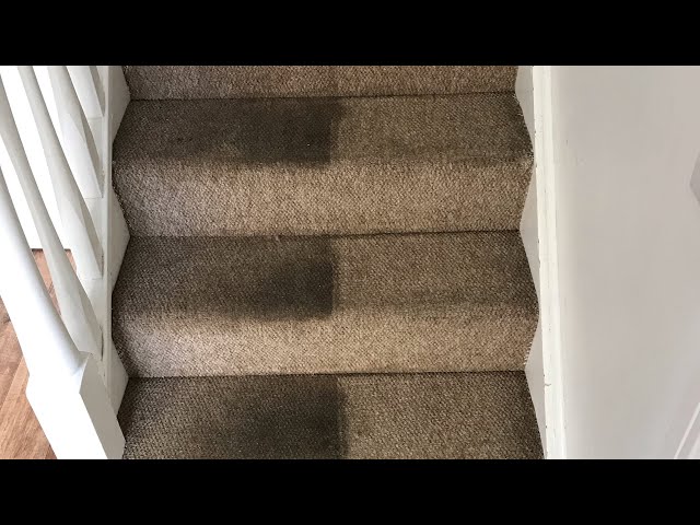 Look at the STATE of these Filthy Carpets! Satisfying cleaning