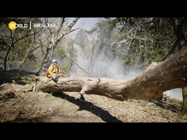 The Native Practice of Controlled Burns | Fire Tender | Clip | Local, USA