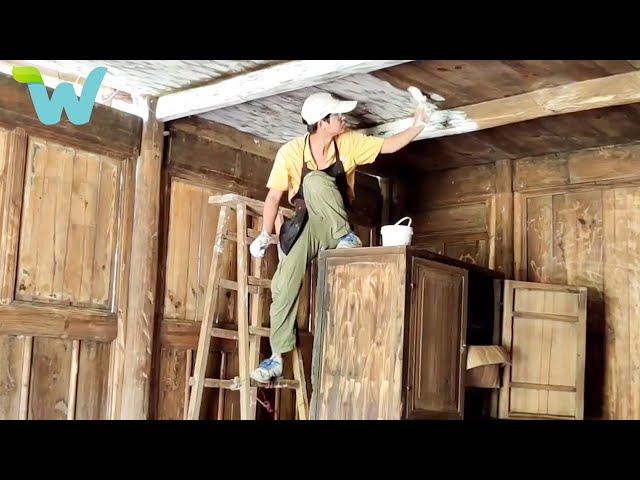 The boy renovates the old wooden house and garden in the deep forest | WU Vlog ▶ 65
