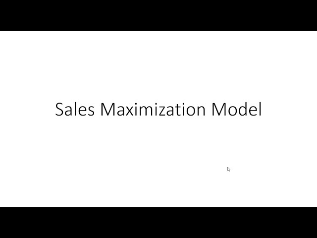 Sales Maximization Model