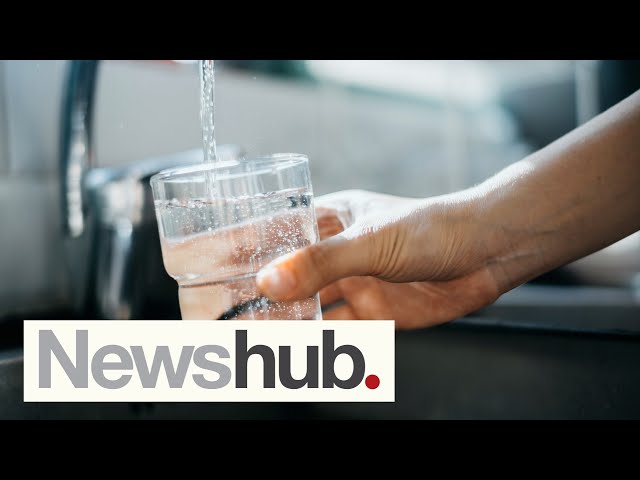 Who has the best drinking water in NZ? Judges put our taps to the test | Newshub | Newshub