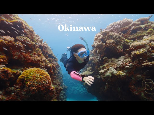 This is WHY you should visit the Hawaii of Japan | Okinawa
