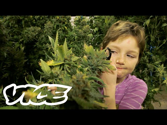 Medical Marijuana for Minors