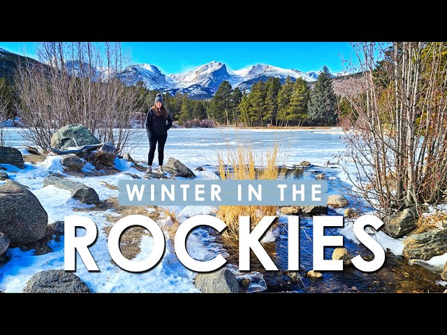 WINTER in ROCKY MOUNTAIN National Park | It BLEW us away!