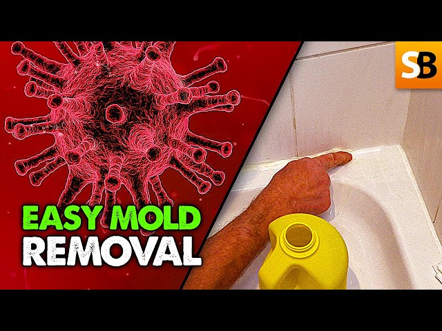 Shower Mold Removal - Super Easy Cleaning Hack