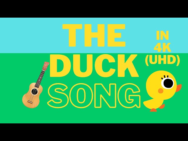 THE DUCK SONG | Ukulele Playalong in 4K