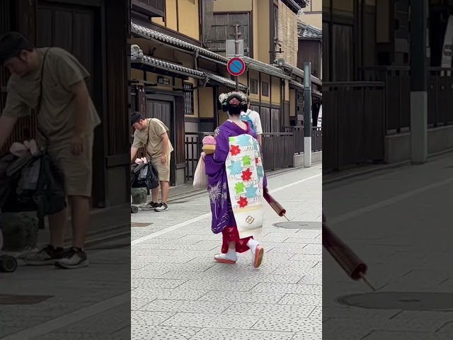 祇園 歩くのが早い舞妓さん #京都 #舞妓