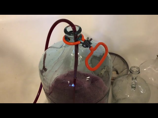 How To Rack Wine Off Gross Lees (aka Siphoning The New Wine Off The Heavy Sediment)