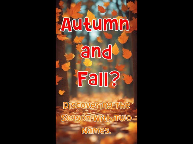 Fall And Autumn: Discovering The Season With Two Names