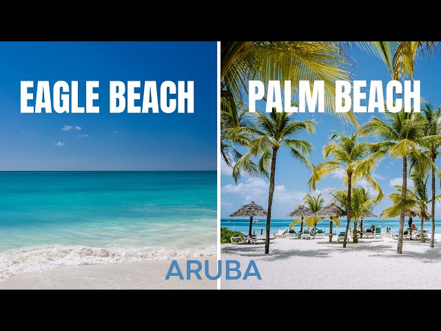 ARUBA Eagle Beach vs. Palm Beach 🇦🇼 (Where to stay in Aruba)