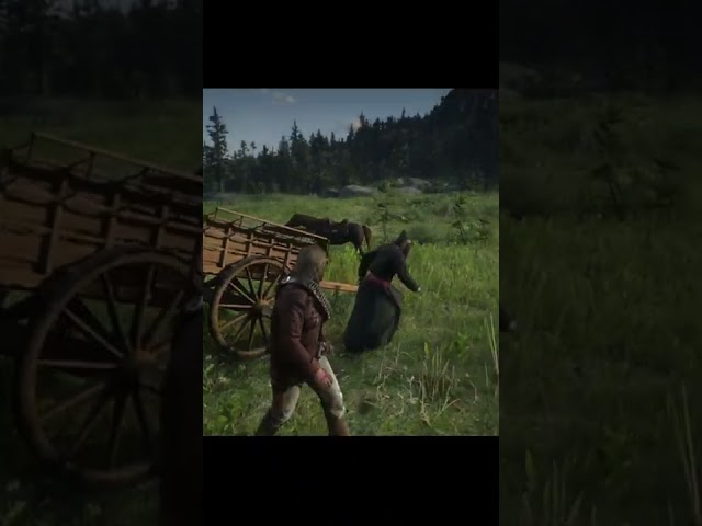 WHY THEY ARE SOO DUMB - RDR2