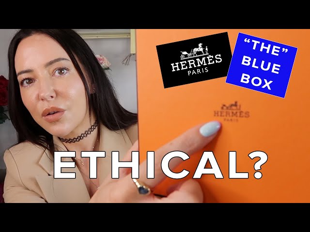 Hermes Blue Box - What Is It & Why Have They Launched It? / MARKETEER REACTS / Sophie Shohet