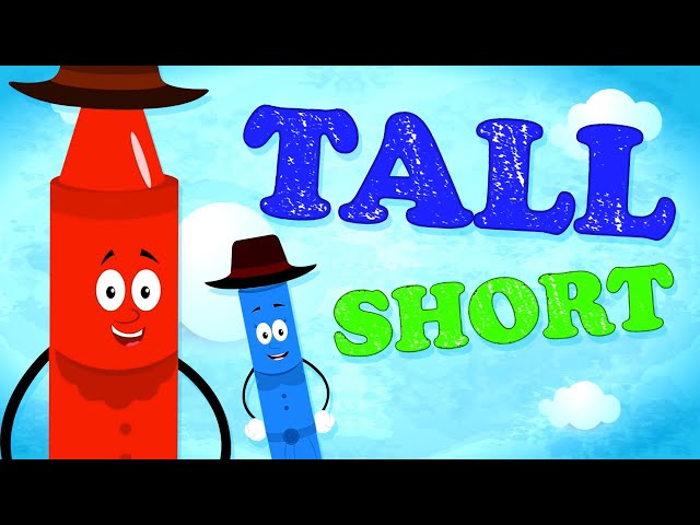 Opposite Words and Fun Educational Video for Children