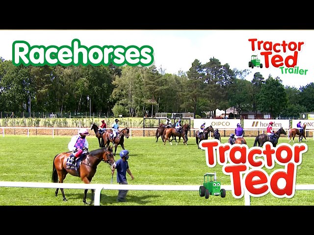 🏇🏻🐎🏇🏻Let's Go Racing | New Tractor Ted Trailer | Tractor Ted Official Channel
