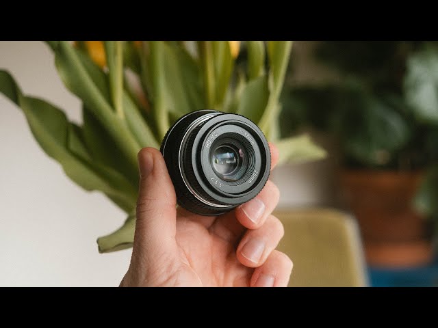 A Cheap Minimal Lens I Actually Use // Pergear 25mm 1.7