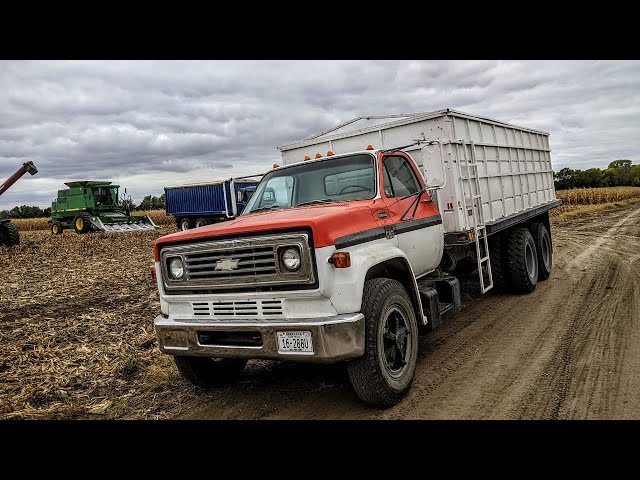 Hauling Corn Into Town With A Chevy C65 Squarebody Grain Truck