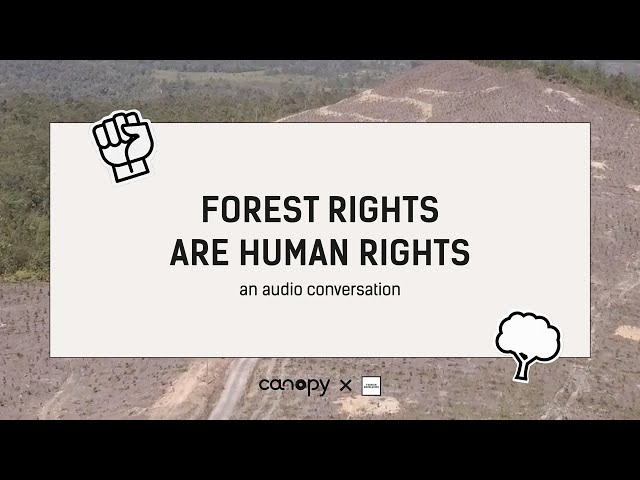 Canopy x Fashion Revolution: Forest Rights are Human Rights