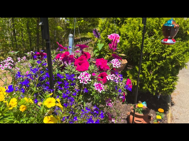 My pollinator garden for beekeeping!