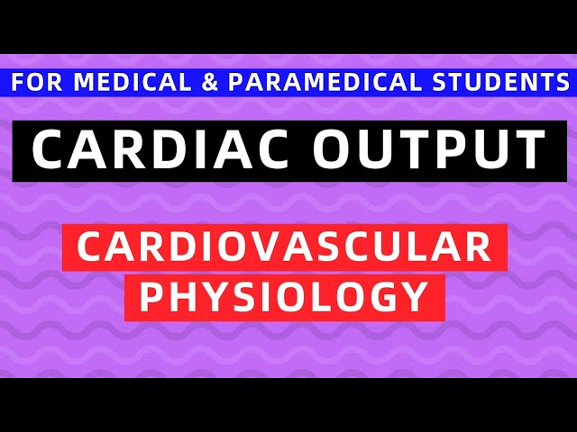 CARDIAC OUTPUT | CARDIOVASCULAR PHYSIOLOGY
