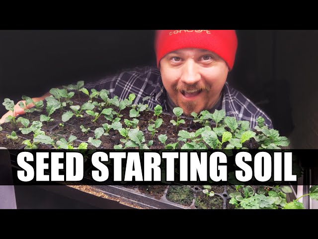 3 Ingredient Seeding Soil - Garden Quickie Episode 50