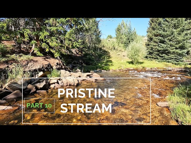 Truck Camping Nirvana overlooking this Pristine Stream full of trout!  part 10
