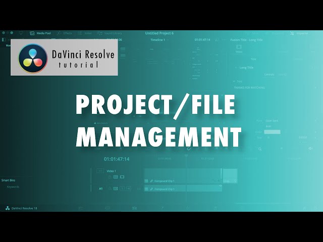 Project Management in DaVinci Resolve | Beginners Tutorial 2024