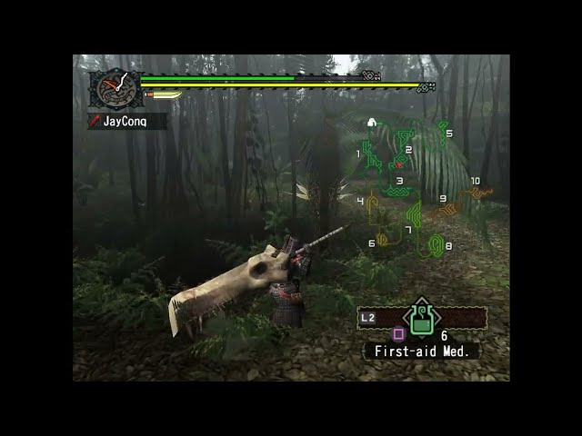 Monster Hunter (PS2) Part 4