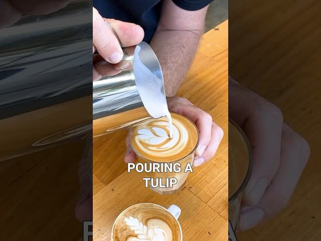 A quick latte art demonstration on how to pour a tulip pattern in coffee ☕️ #latteart #cafe #barista
