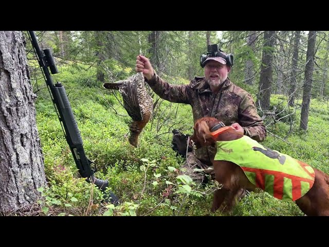 Hunting with the Savage Renegauge shotgun. Global Adventure with Kristoffer Clausen. Ep. 2