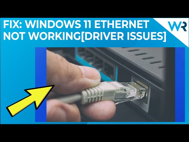 FIX: Windows 11 Ethernet not working [Driver issues]