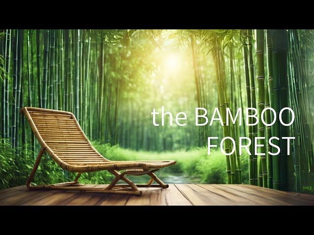 the BAMBOO FOREST - FUTURE GARAGE Mix - for Relax, Work, Study