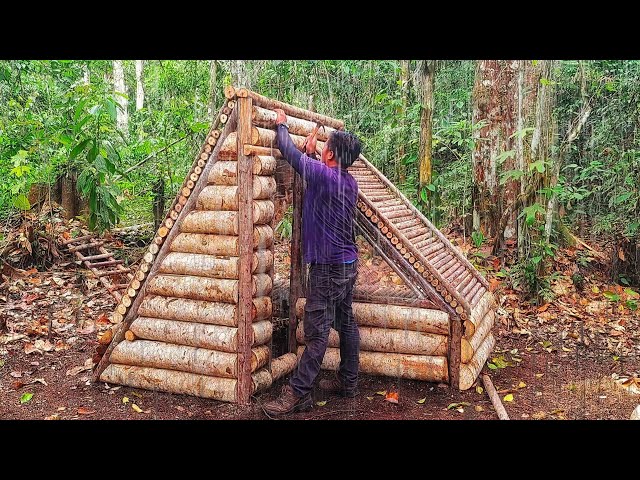 solo camping hujan deras/membangun shelter dan mandi di air terjun di tengah hutan kalimantan
