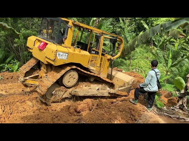 CAT D6R XL Bulldozer Opens Access Road in Banana Plantation