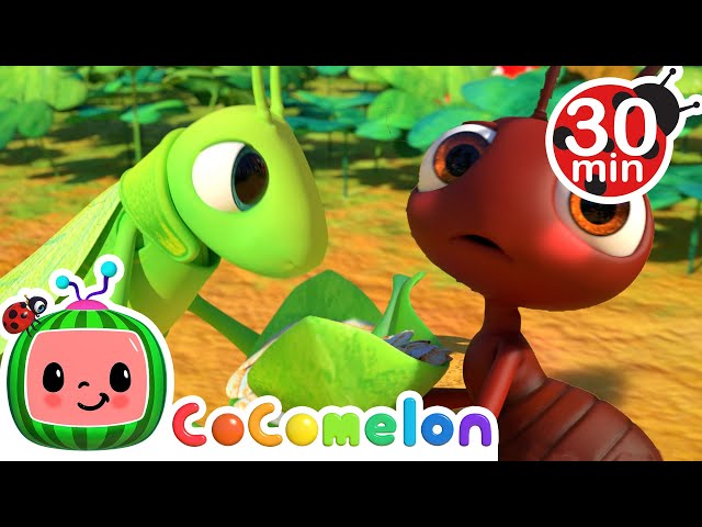 The Ant and the Grasshopper | Cocomelon | Learning Videos For Kids | Education Show For Toddlers