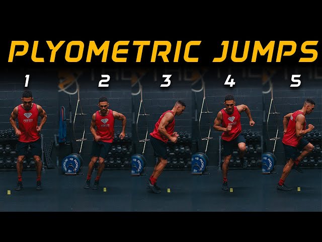 5 Plyometric Jump Exercises For Beginners | No equipment needed