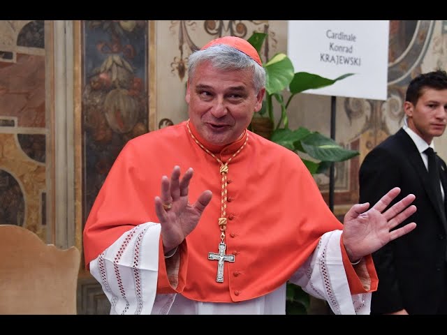 Cardinal Profiles Konrad Krajewski The Next Pope Series #8