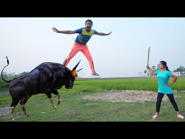 Eid Special Top New Comedy Video Amazing Funny Video 😂2024 Episode 264 By